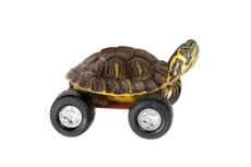 Why aren't there wheeled turtles, for instance?