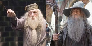 Dumbledore in Harry Potter and Gandalf in Lord of the Rings