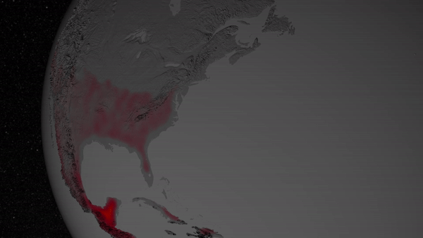 A gif of a black and white Earth visualization shows parts of North America "glowing"