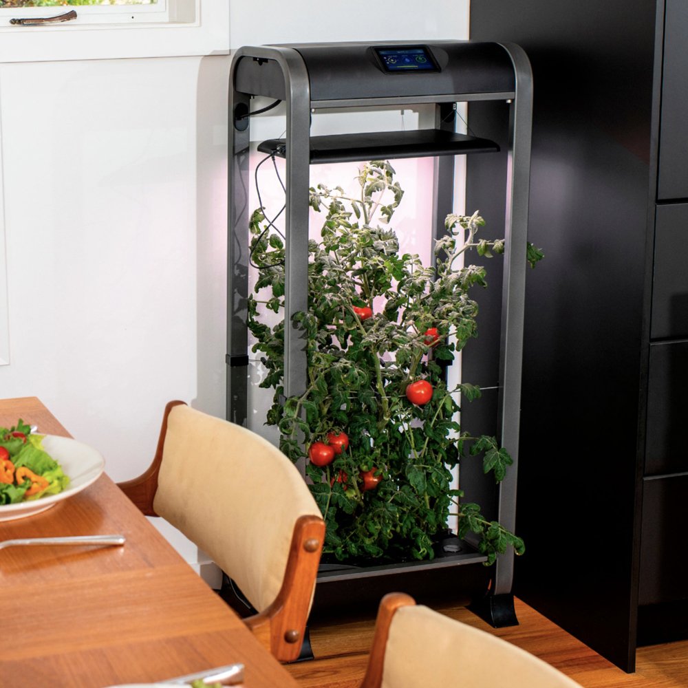 Grow Your Own Salad Indoors With The AeroGarden Farm 12XL Down To $400 ...