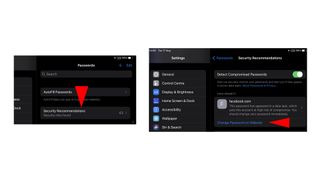 iPhone and iPad password monitoring