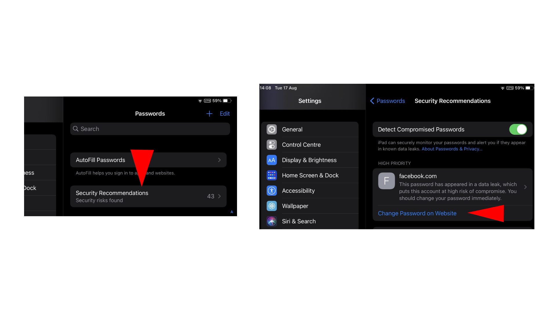 iPhone and iPad password monitoring