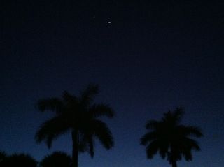 Venus and Jupiter Above Palm Trees