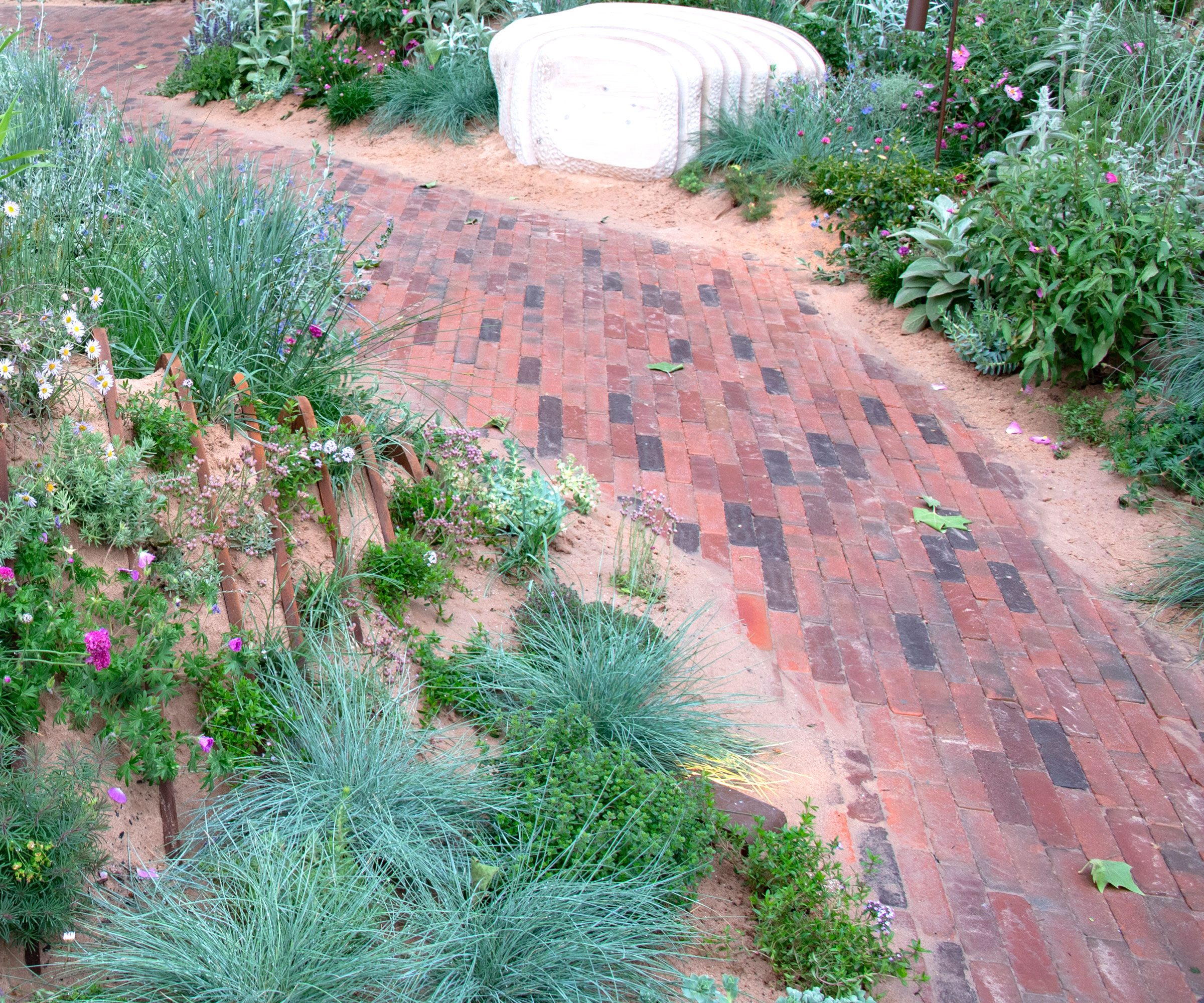 garden path made of bricks with dry garden plants and sandy soil, and some landscaping rocks