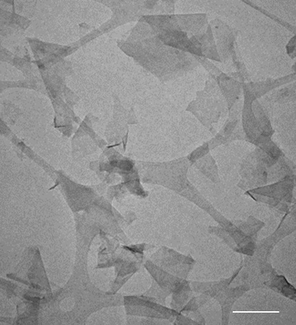 Transmission electron microscope image of nanosheets of shear exfoliated graphene. The scalebar is 100 nm.