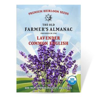 The Old Farmer's Almanac Common English Lavender Seeds