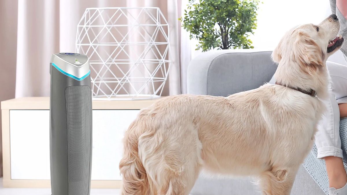 GermGuardian AC5250PT review Tom's Guide