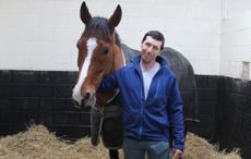 Faugheen.jpg