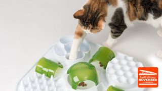 Cat puzzle feeder toy