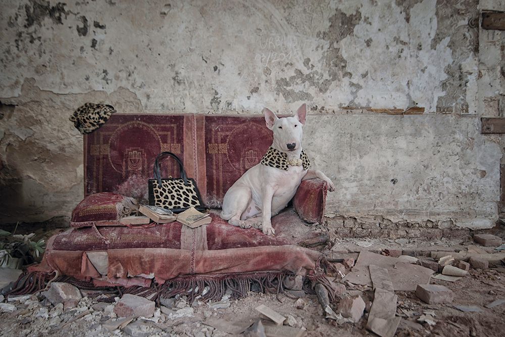 Chateau Congo &ndash; Nikon D800, 16-28mm f/2.8, 1/8&nbsp;sec, f/5, ISO200