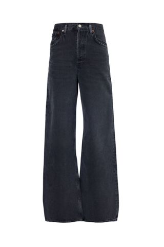 AGOLDE Dame High-Rise Wide-Leg Jeans