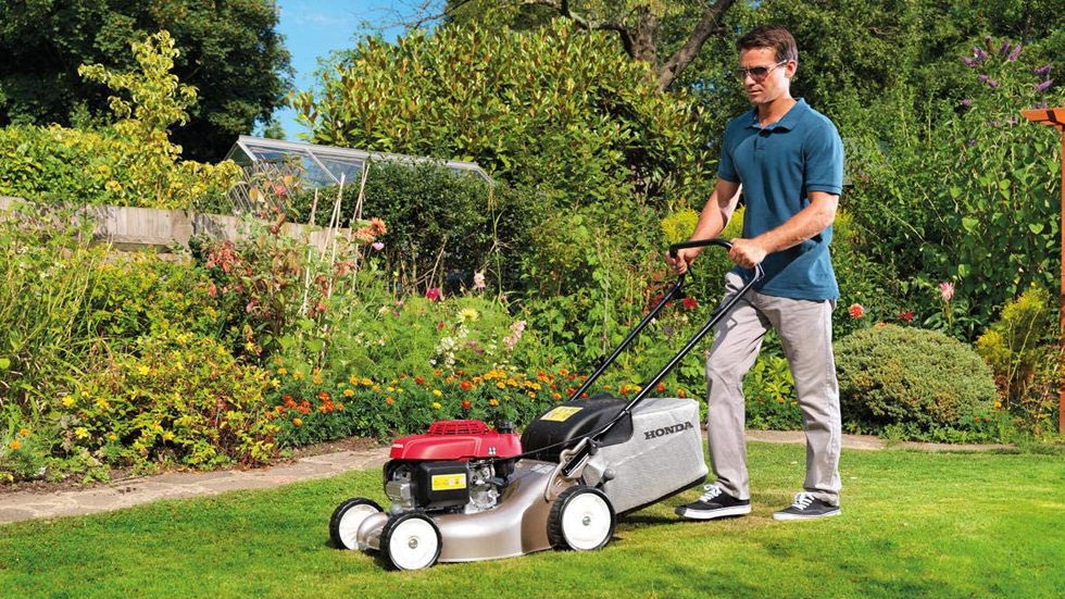 The Best Petrol Lawn Mowers For All