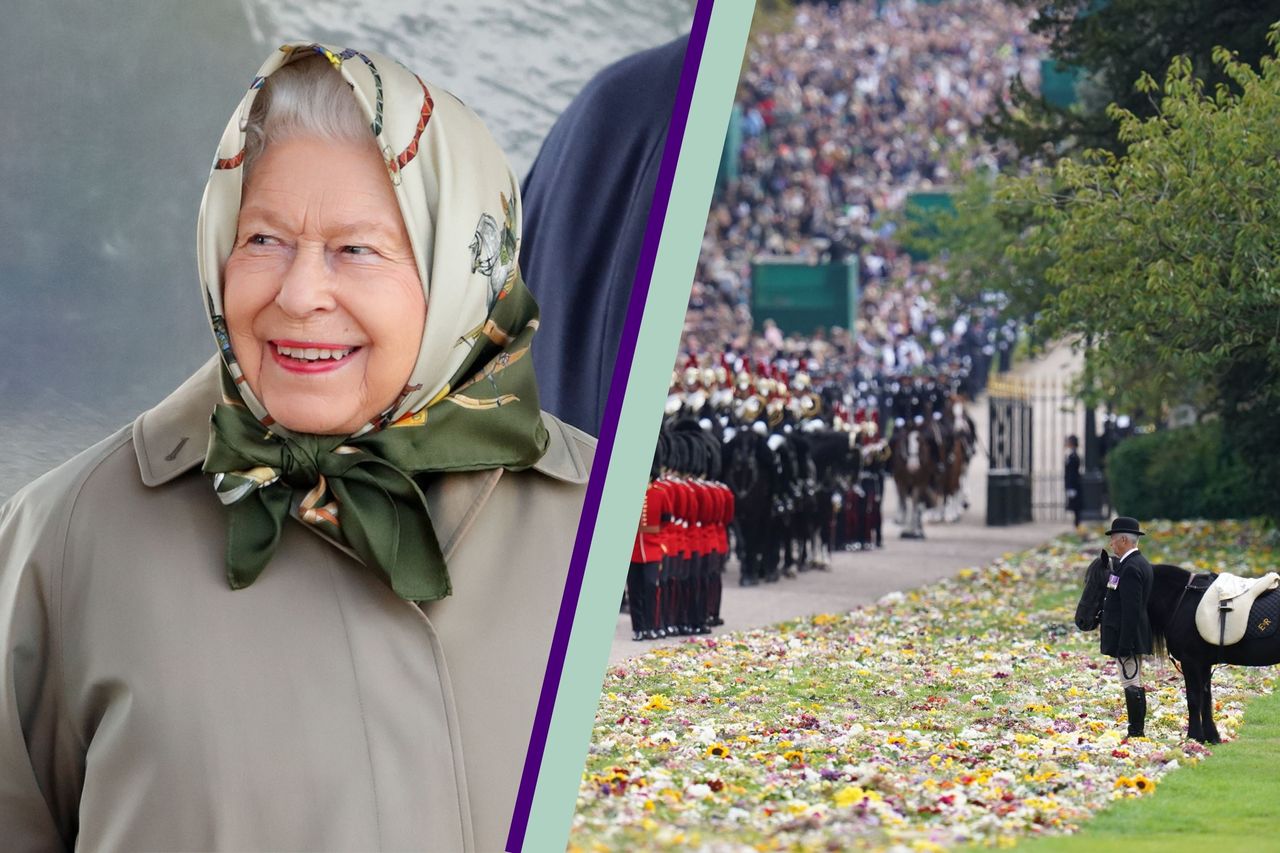 Queen&#039;s scarf pony - Queen Elizabeth II&#039;s coffin passes her fell pony Emma in Windsor