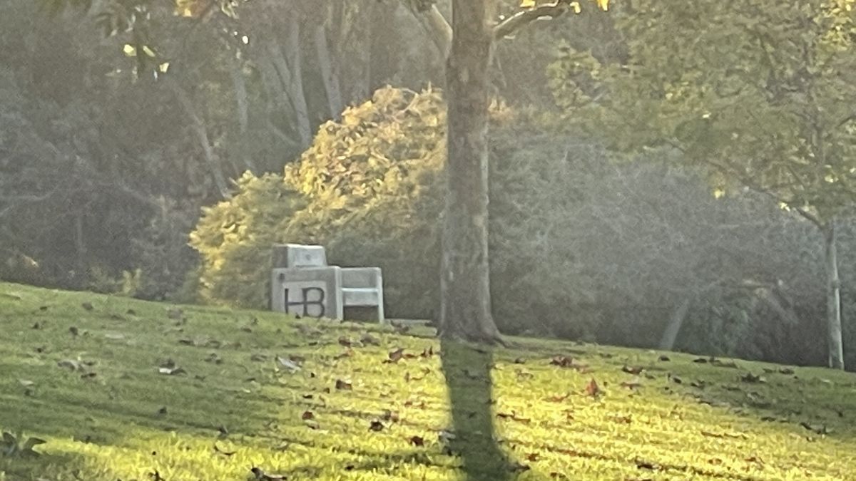 iPhone 12 Pro camera samples