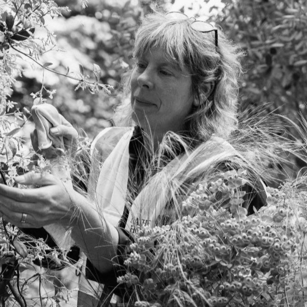 Sonja Kalkschmidt