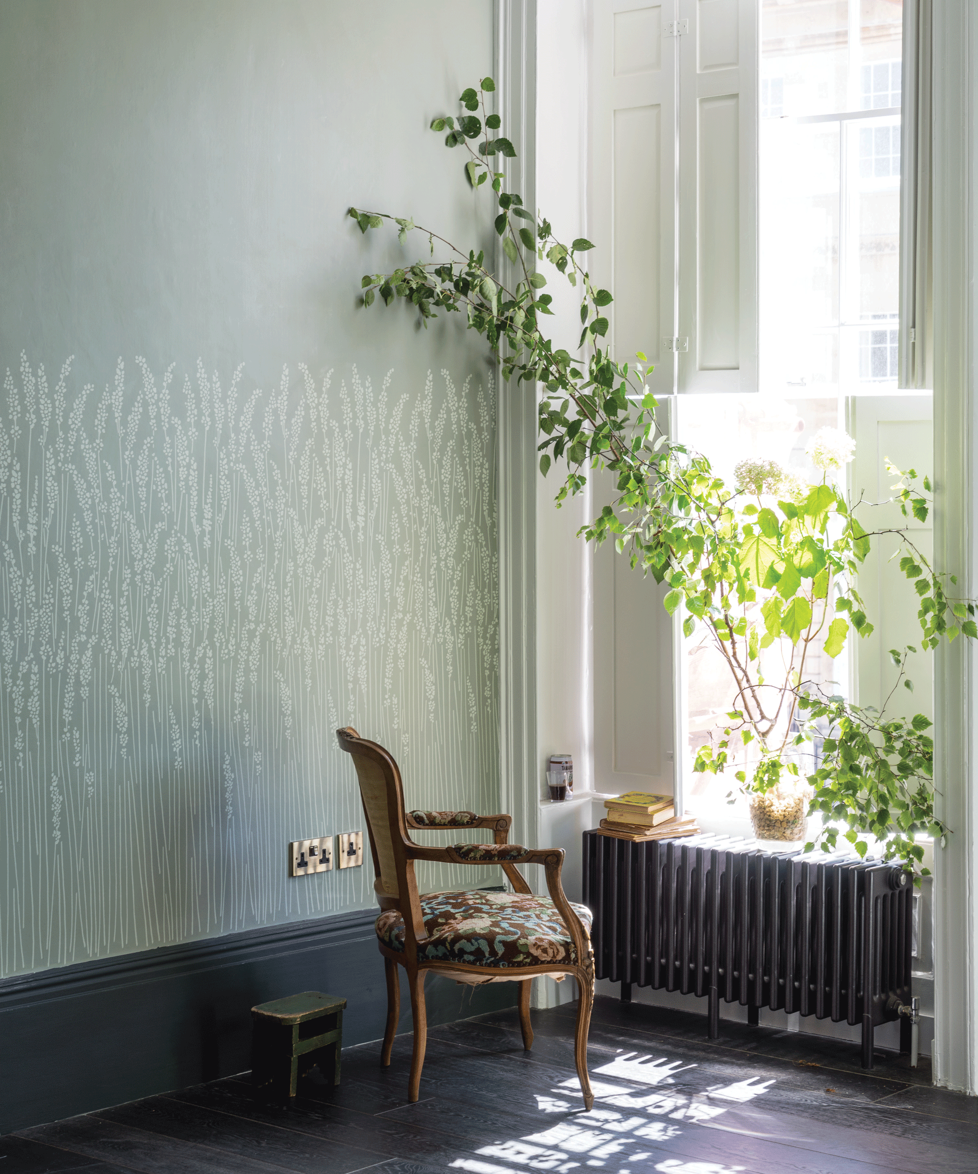 Room with blue patterned wall paper and large house plant