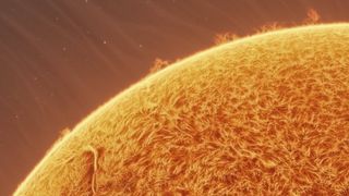 A closeup of the sun's surface.