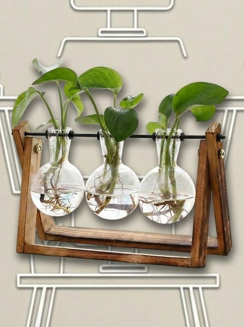 Plant Terrarium With Wooden Stand
