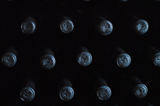 Vosne, Grivot M&eacute;o-Camuzet