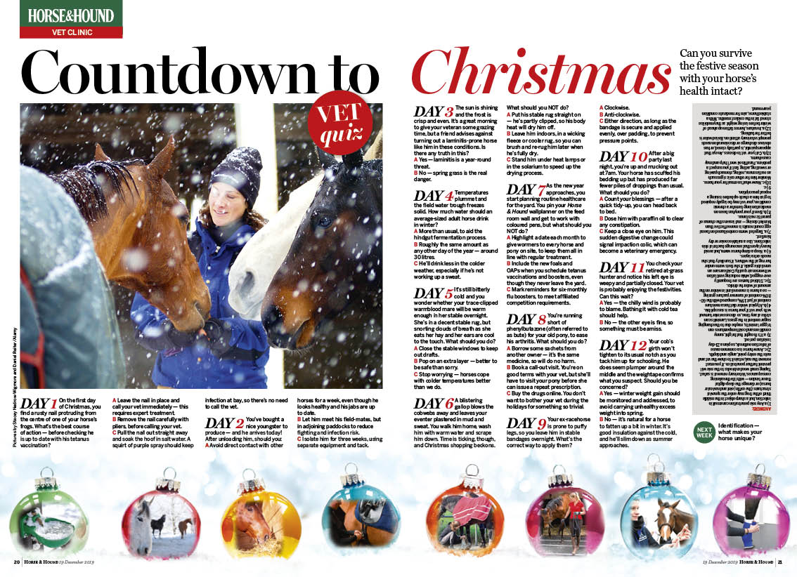 VET 2PP Christmas Quiz (19 12) V2