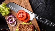 Best santoku knives