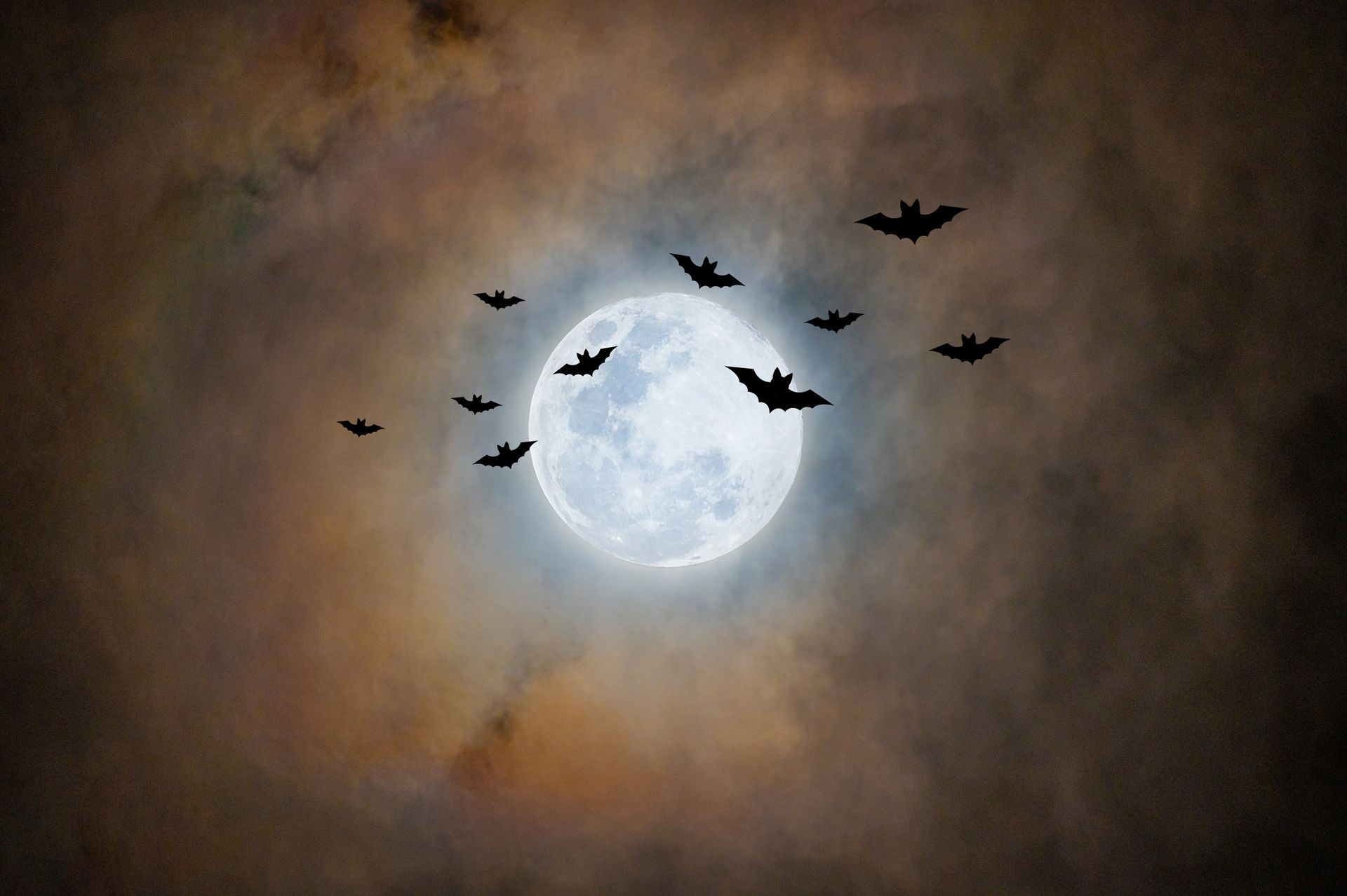 Bats flying in the sky.