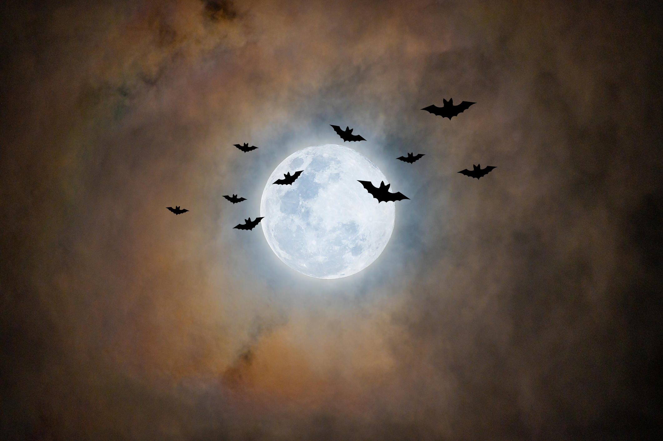 Bats flying in the sky.
