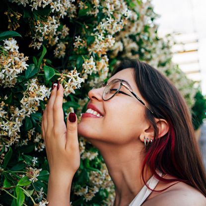 A smiling woman smells a wall of jasmine flowers