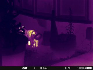 Color thermal images of people and wildlife in a park taken on a Pulsar Merger LRF XP35 binocular