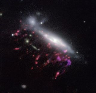 A jellyfish galaxy like this, called JO204 and imaged with ESO's Very Large Telescope in Chile, may have helped cracked the mystery of what feeds supermassive black holes.