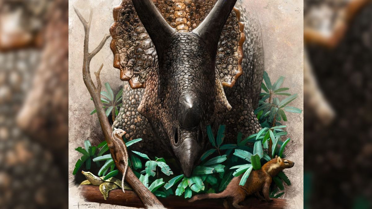 illustration of a triceratops in the midst of foliage that contains two small mammals, and nearby, there&#039;s a small turtle on a log