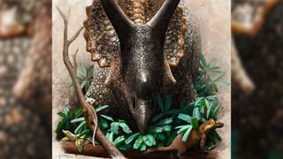 illustration of a triceratops in the midst of foliage that contains two small mammals, and nearby, there's a small turtle on a log