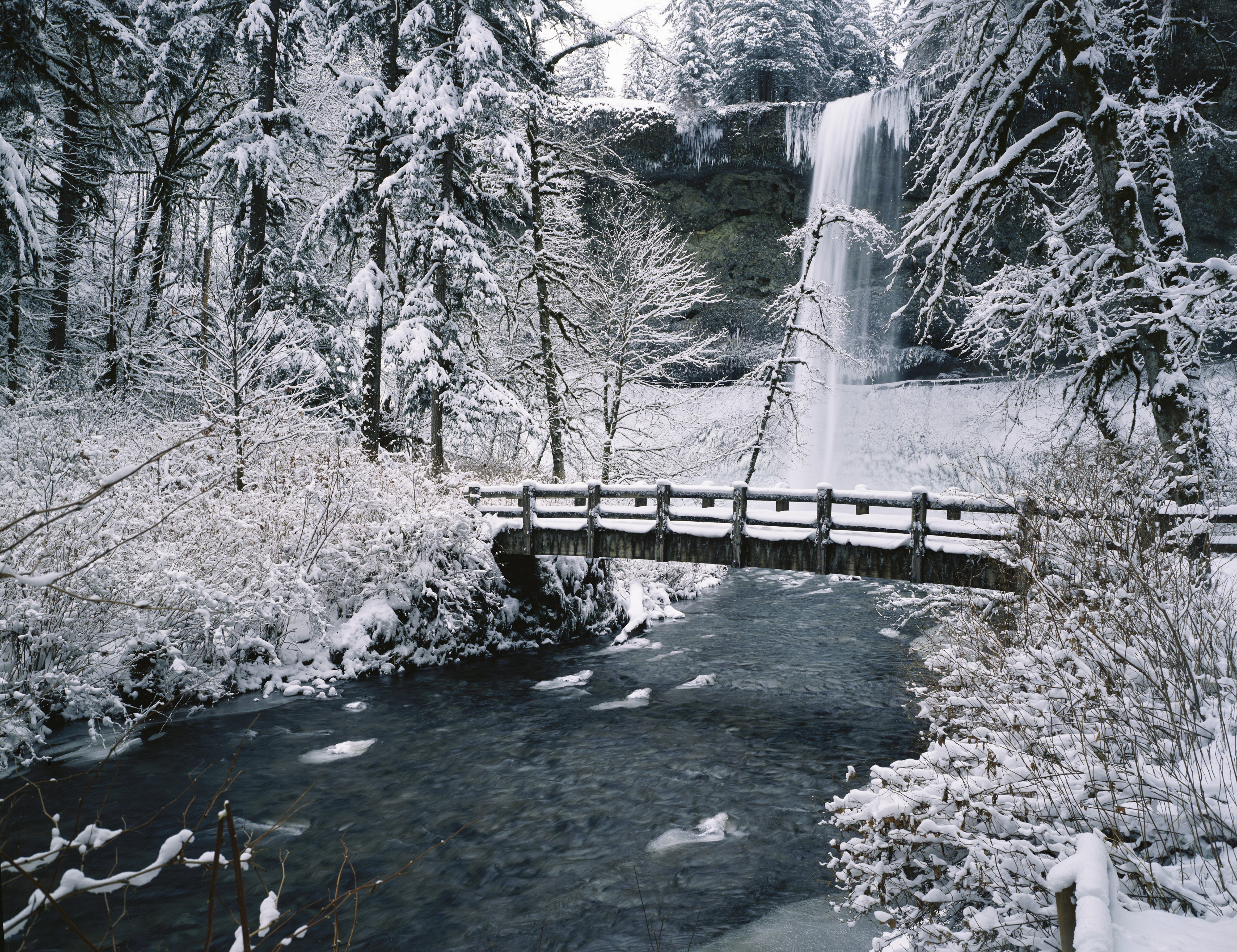 Snowy footbridge and waterfall in Silver Falls State Park in winter. Oregon, United States of America.