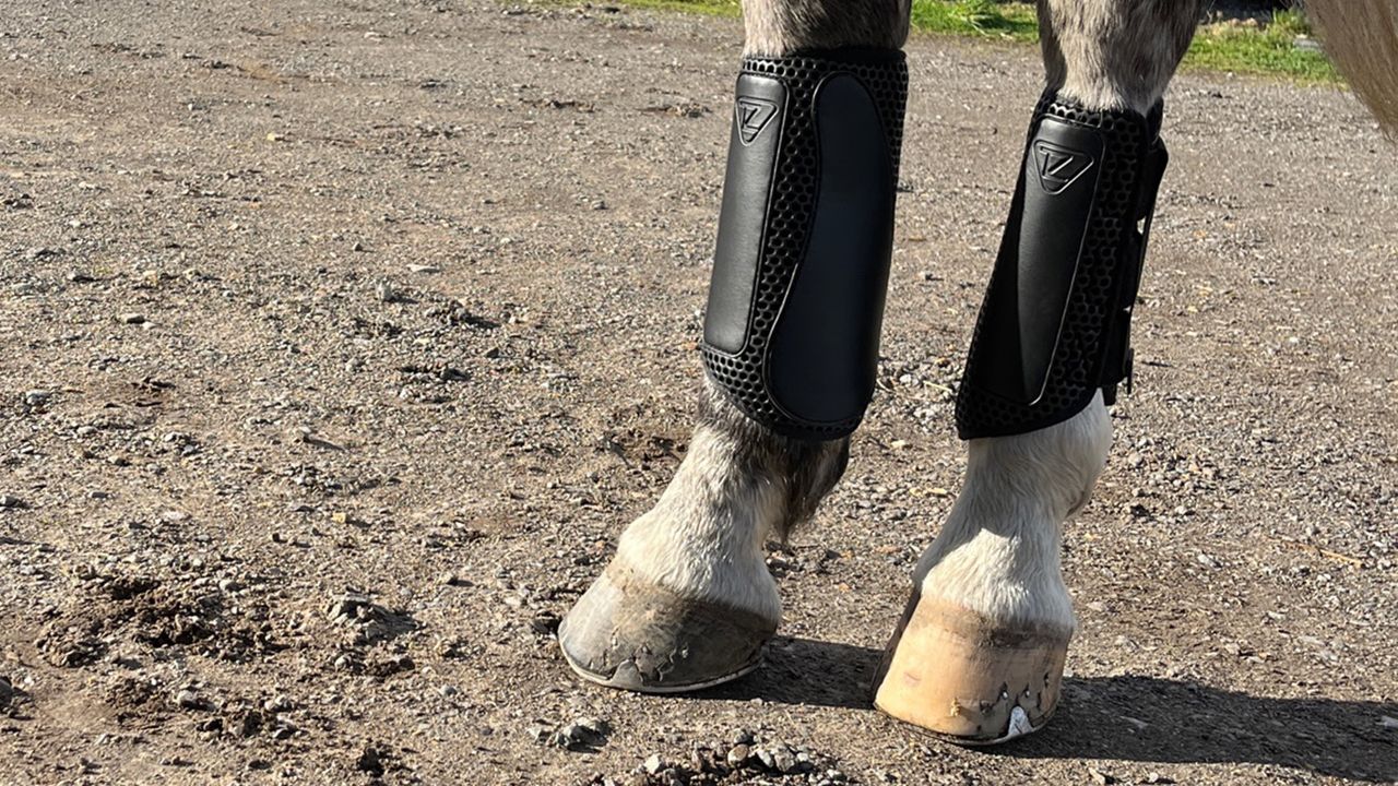Equilibrium Tri-Zone Impact Sports Boots