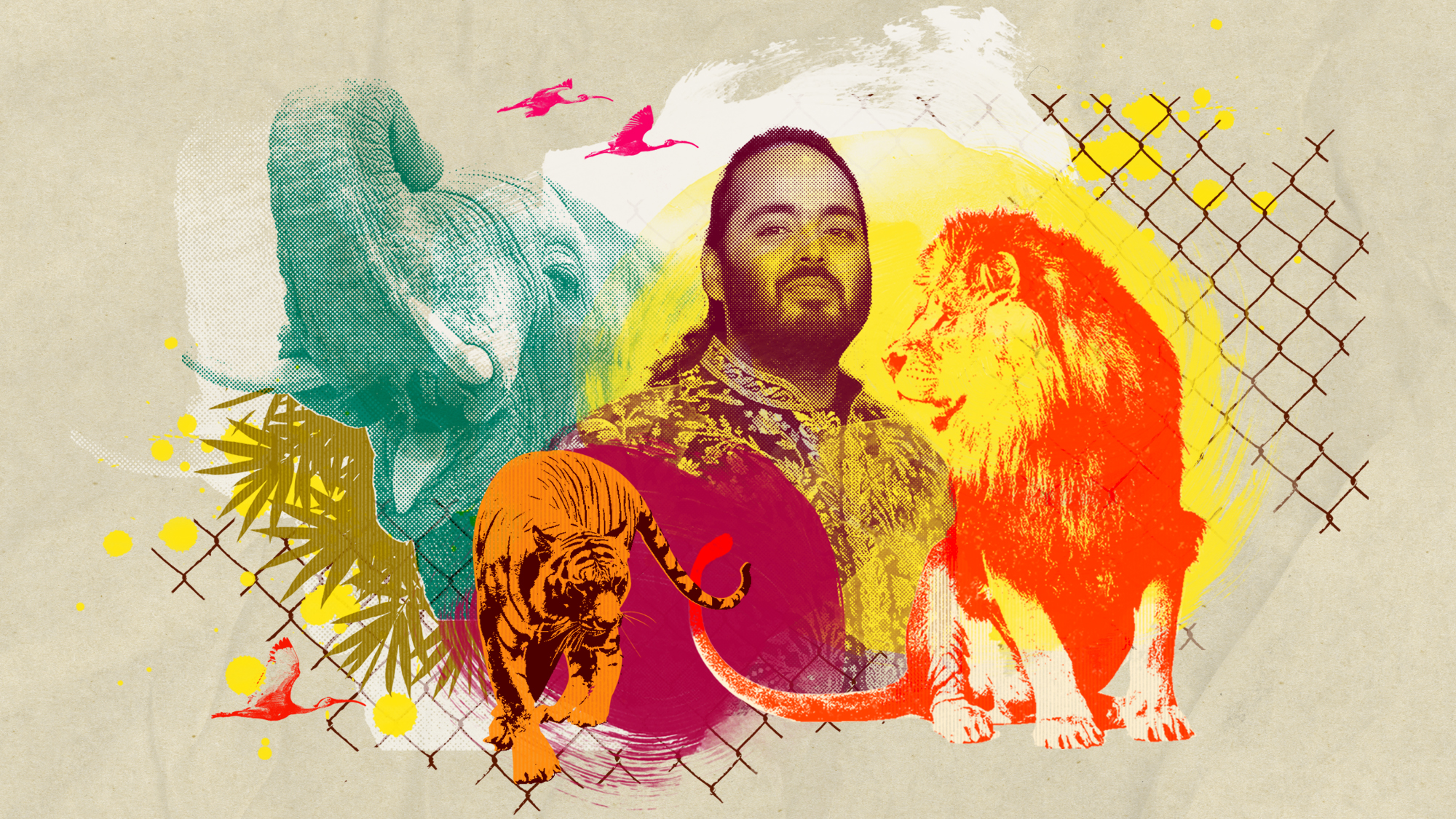 Zoo animals