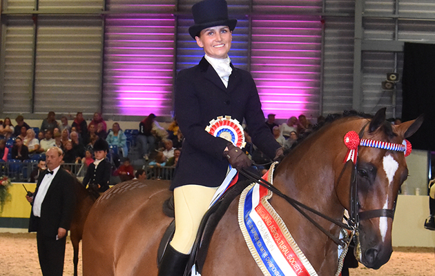 Equifest 2018