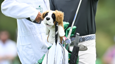 Rory McIloy's dog headcover for his golf clubs