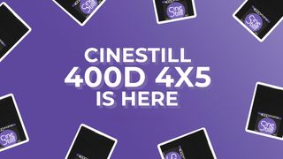 CineStill 400D 4x5
