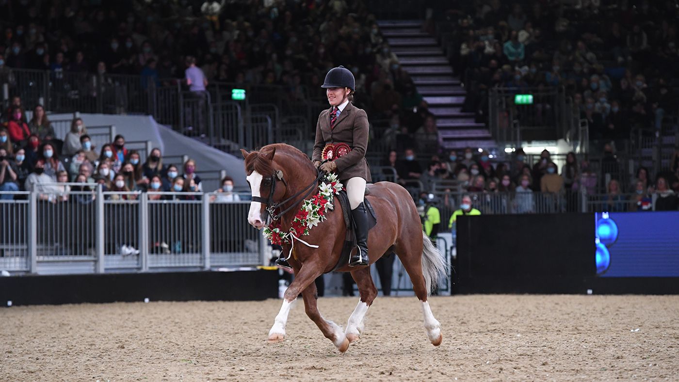 BSHA and BSPS launch new showing classes at London International ...