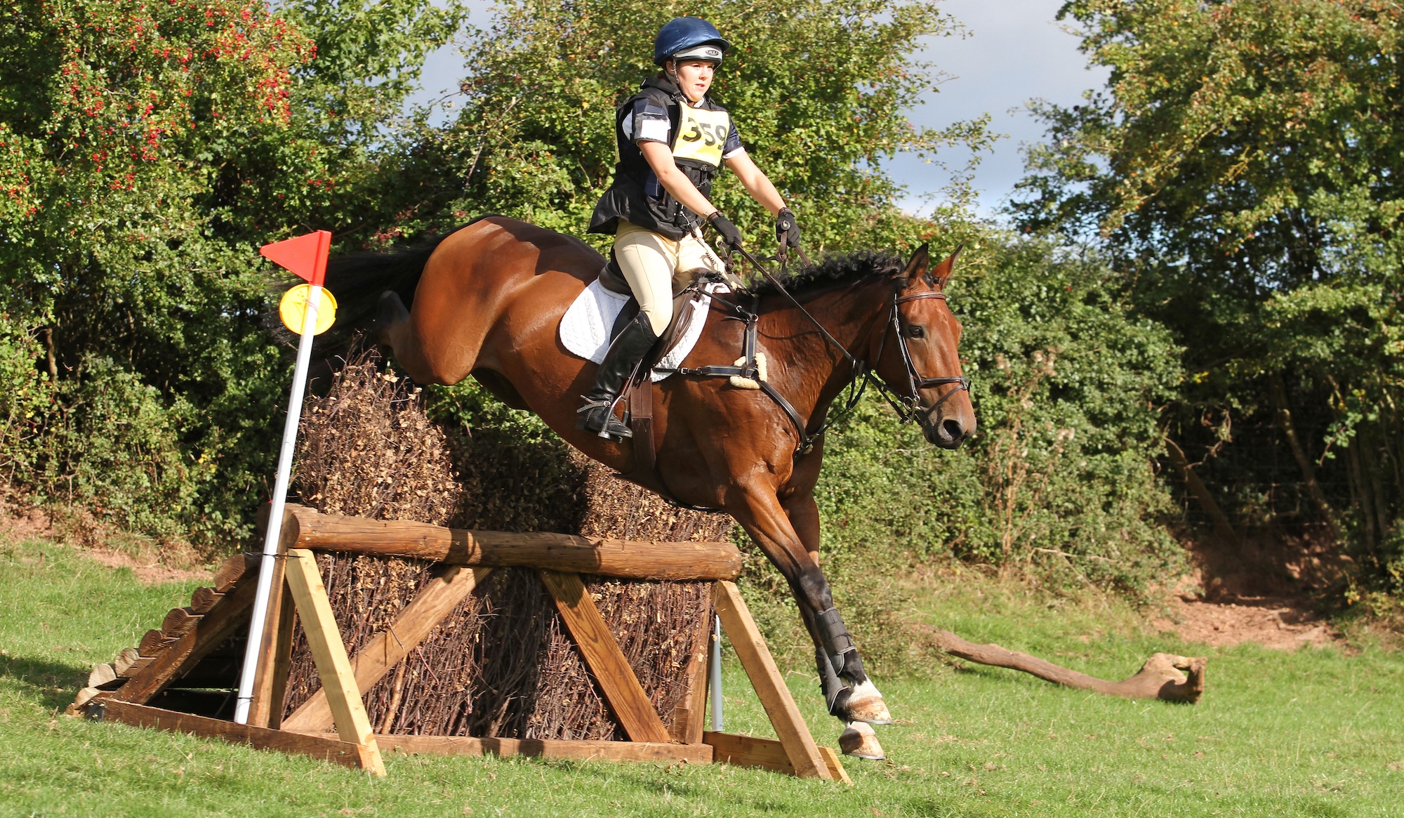 Horse jumping downhill fence