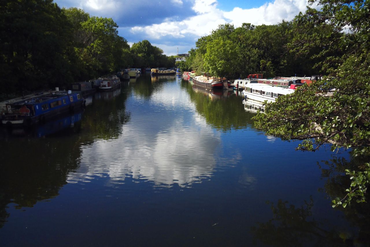 Photograph taken with the RewindPix digital compact showing a river from above with saturated, naturalistic colors