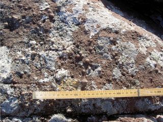 A close-up of spherules that formed in the impact plume cloud and were later found in the deposit.