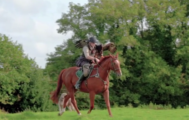 racehorse-golden-eagle.png