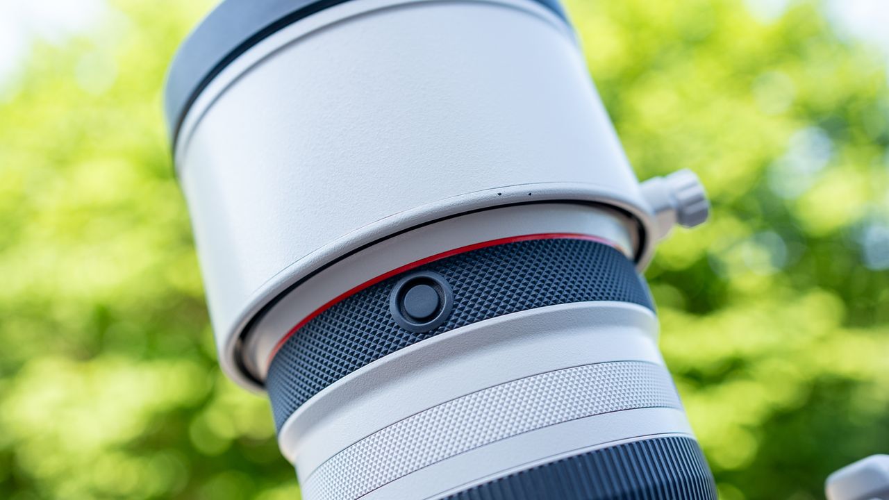 Canon RF 100-300mm f/2.8L IS USM lens against green foliage