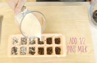 Food hacks: How to make milk and cookies ice cubes