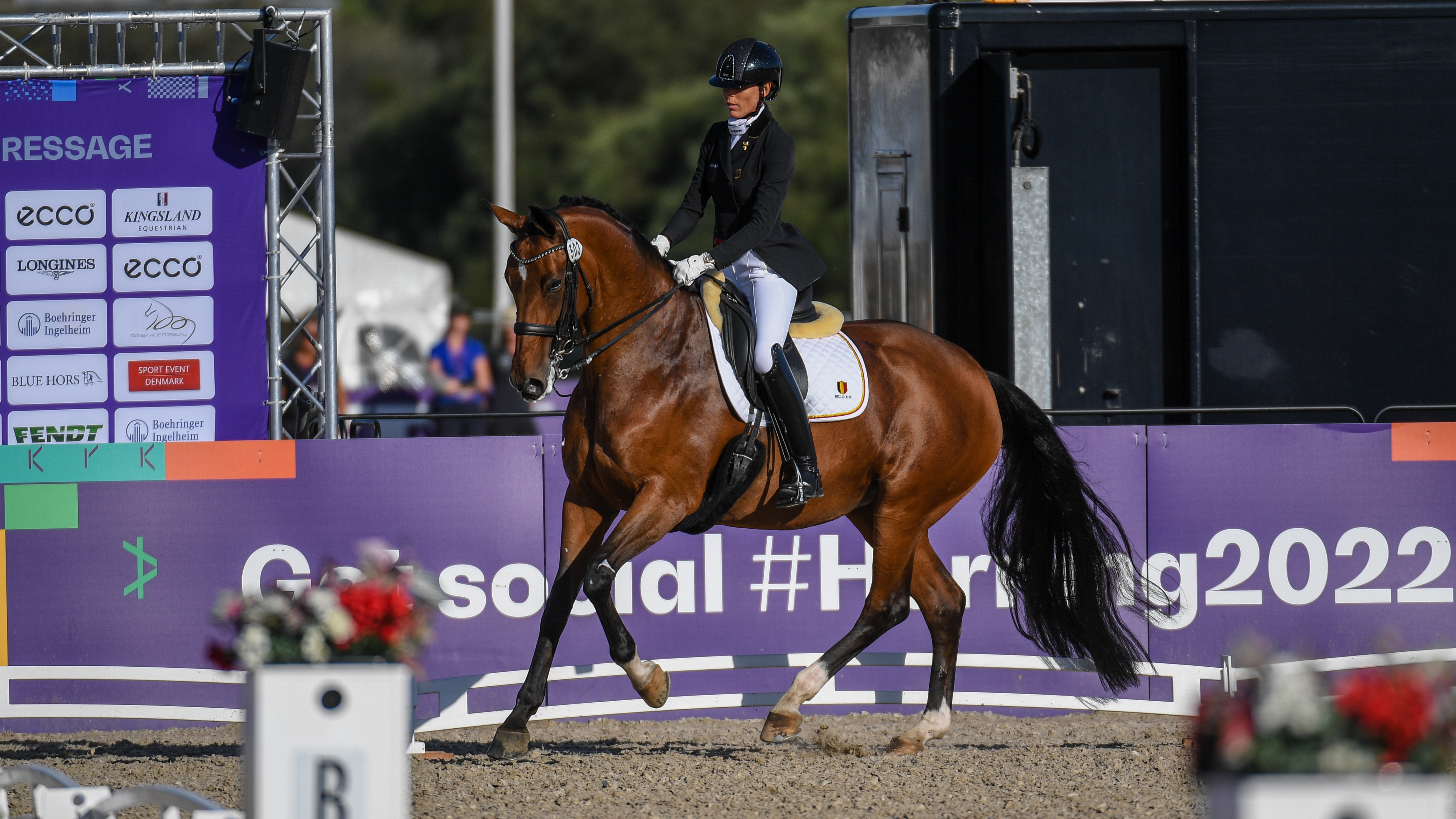 Mich&egrave;le George and Best Of 8 riding at the World Para Dressage Championships in Herning.