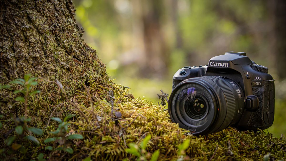 The best DSLR in 2021 Digital Camera World