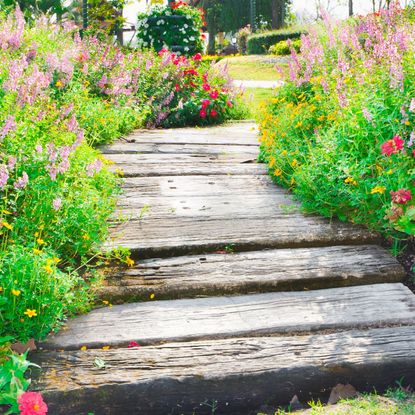 A wooden path runs through a flower garden