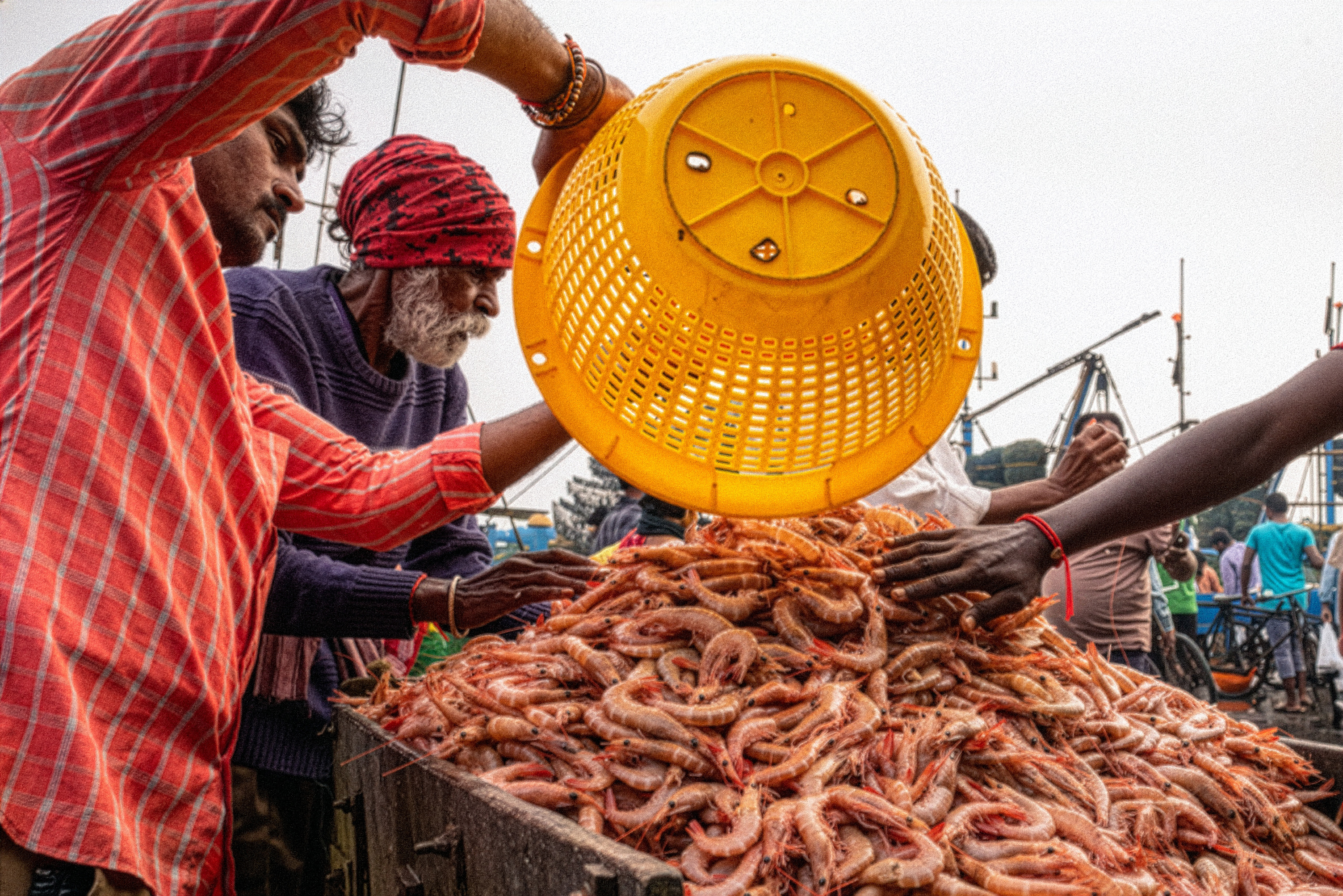 Photograph of fishermen unloading a catch of prawns, in the port of Visakhapatnam, India. Captured by street photographer Flavio Bosi, who will be speaking at The Photography &amp;amp; Video Show 2026 on the Light &amp;amp; Land stand (B87)