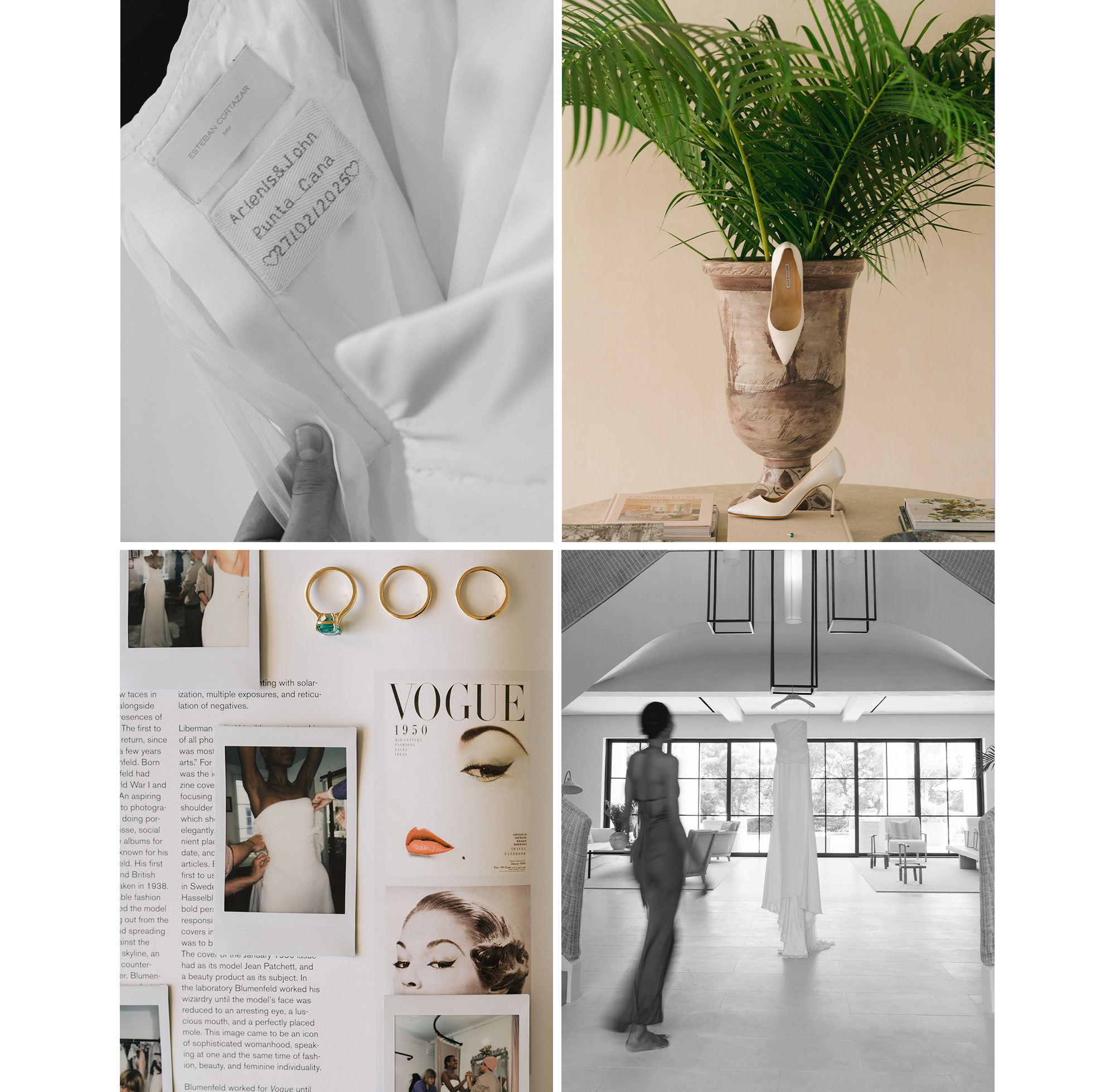 Arlenis Sosa and John McCarty wedding